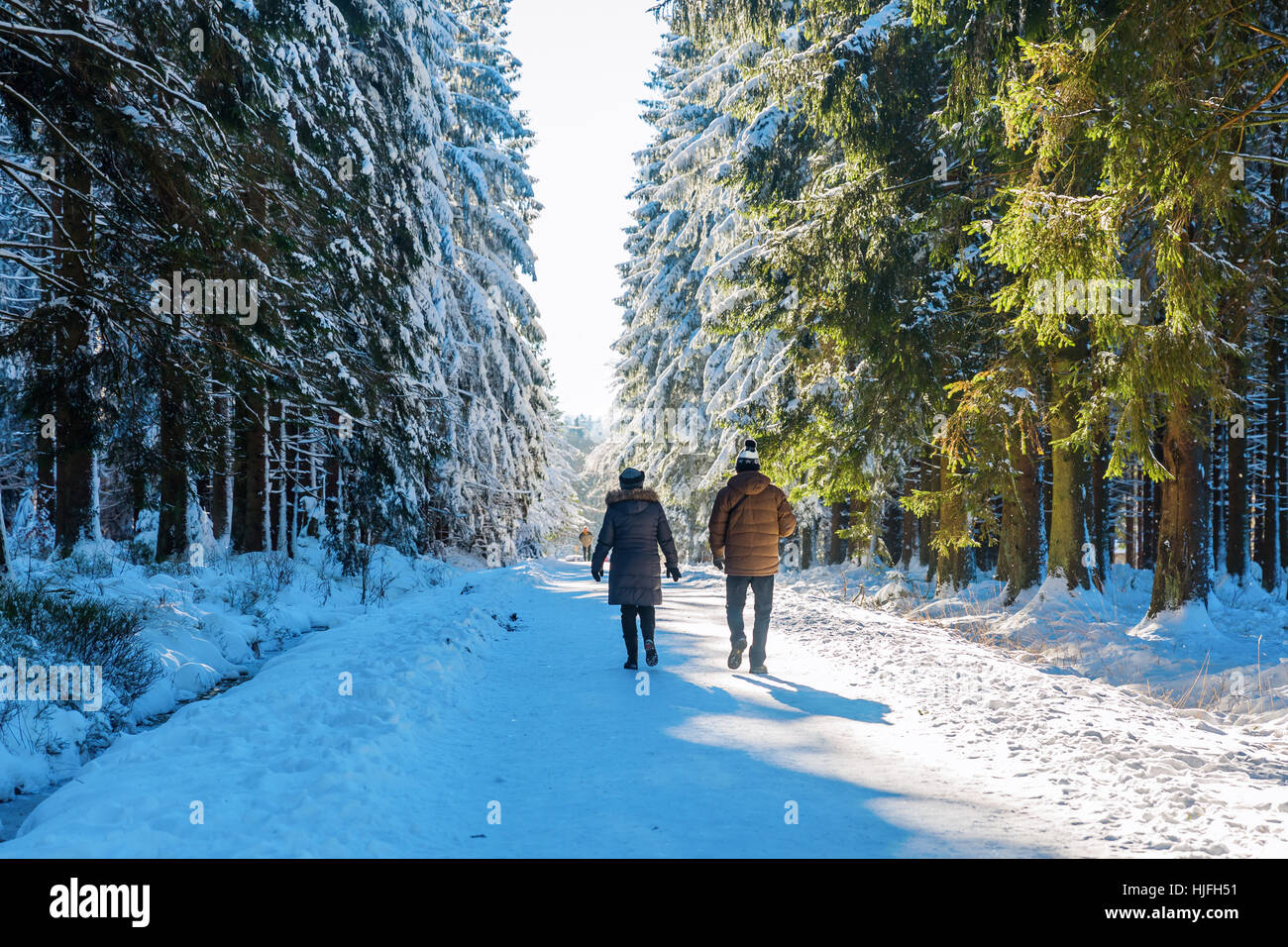 unrecognizable couple walking in a snowy forest Stock Photo - Alamy