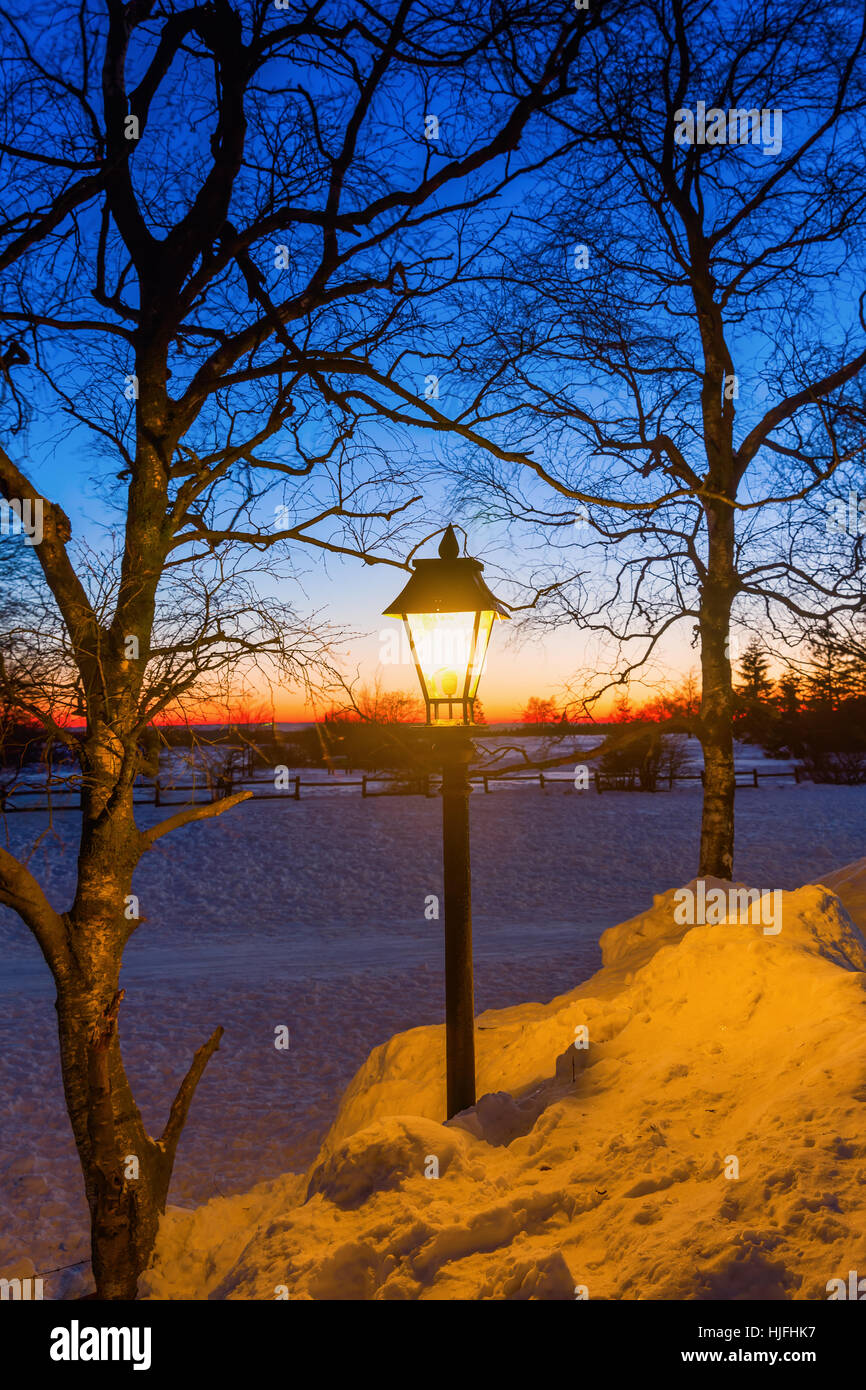 illuminated old street lamp in winter landscape at night Stock Photo ...