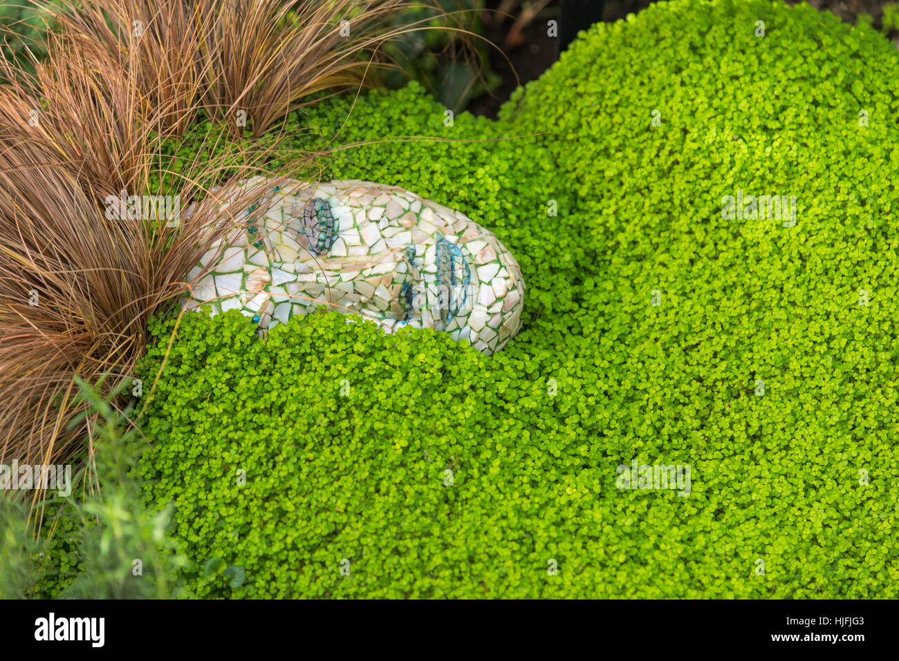 Garden Mozaic Stock Photo