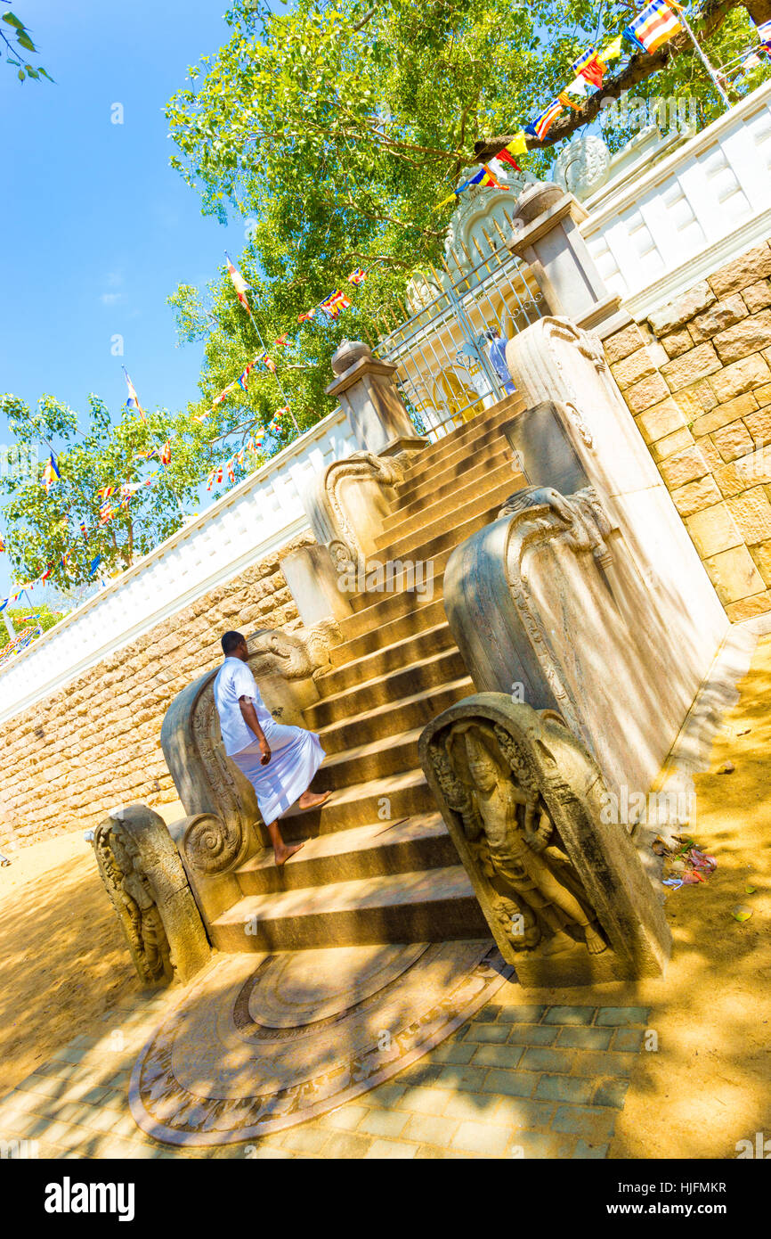 Male Buddhist walking up west stairs leading up to sacred Jaya Sri Maha Bodhi tree above at ancient capitol compound Stock Photo