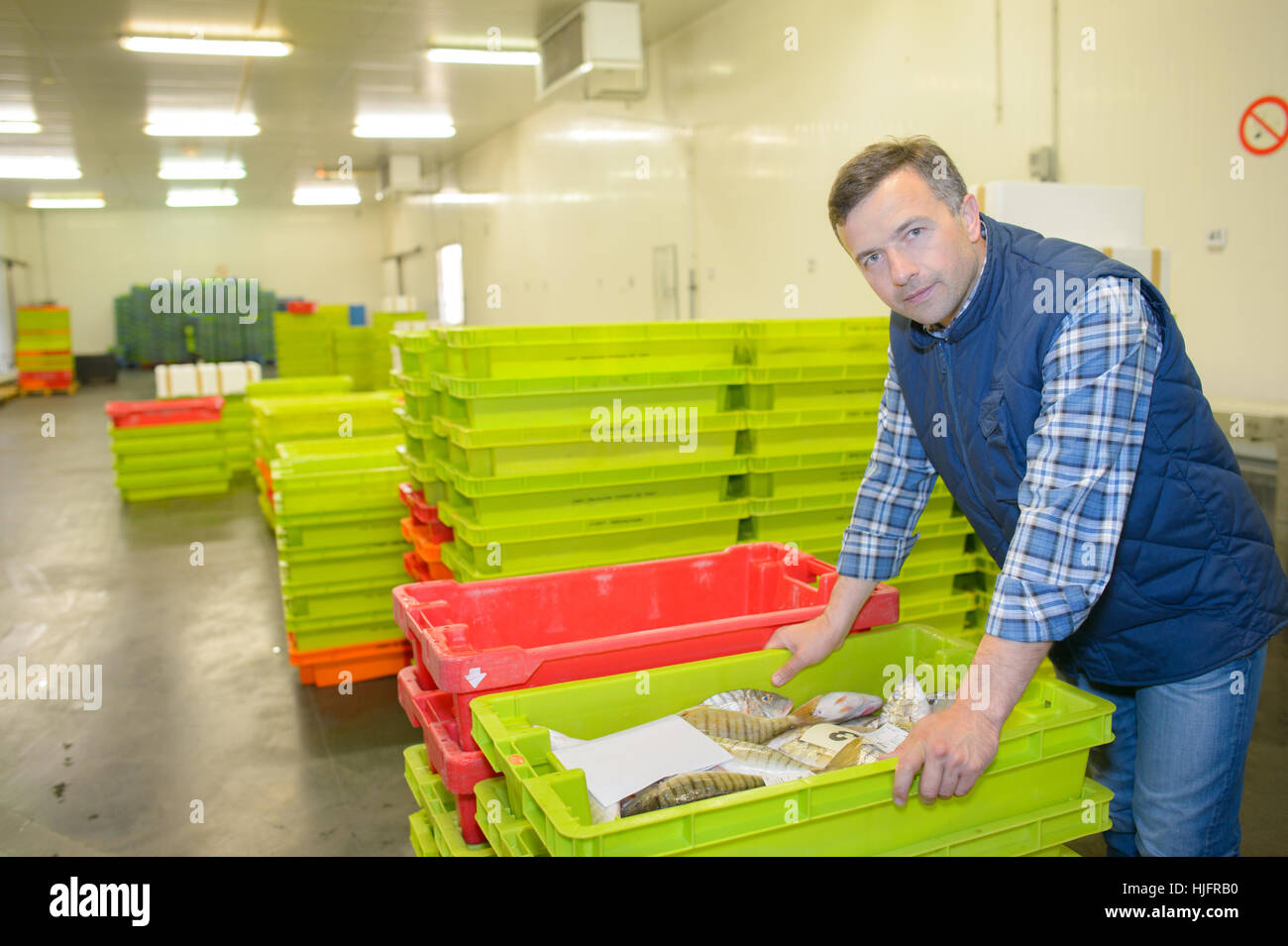 fresh fish inside the crate Stock Photo Alamy