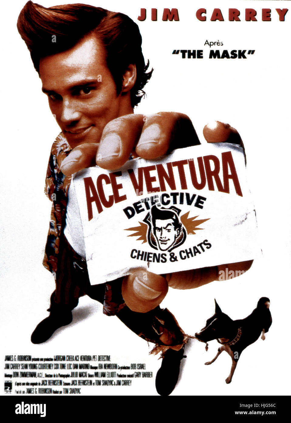 TÉLÉCHARGER ACE VENTURA DETECTIVE ANIMALIER GRATUIT ANIMALIER GRATUIT DETECTIVE TÉLÉCHARGER ACE VENTURA