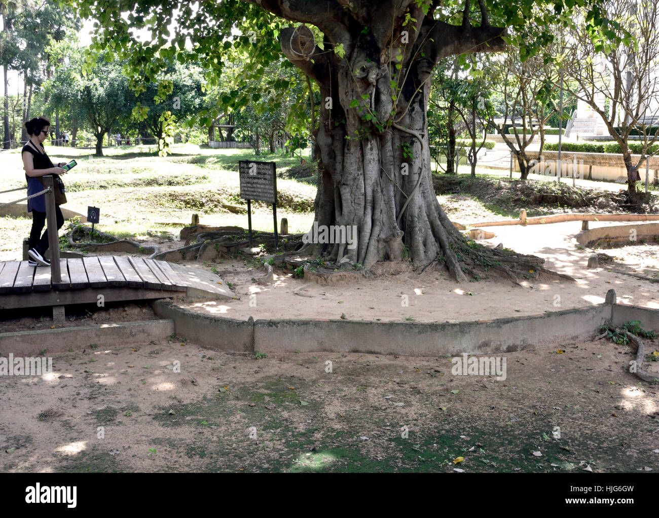 Magic Tree - Memorial Site - The Killing Fields - Choeung Ek Museum of Cambodia  ( Mass grave of victims by Pol Pot - Khmer Rouge  from 1963 - 1997. ) Phnom Penh Cambodia Stock Photo