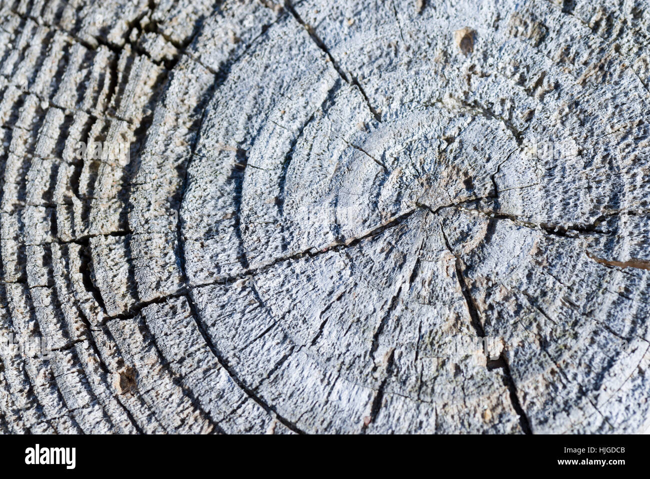 wood, weatherworn, annual rings, structure, backdrop, background ...