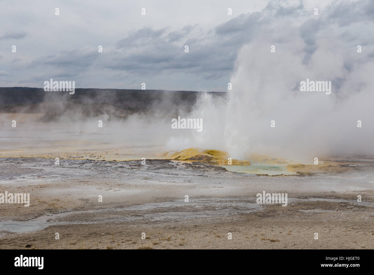 The Clepsydra Geyser in the Lower Geyser Basin of Yellowstone National Park erupting. Stock Photo