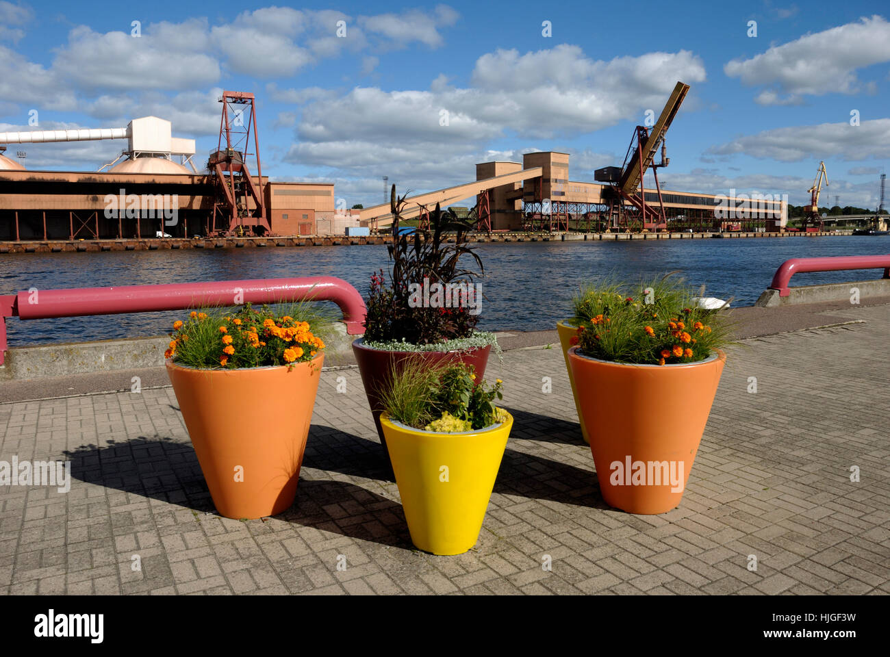 harbor, harbours, latvia, flowerpot, flowerpots, blue, plant, shine, shines, Stock Photo