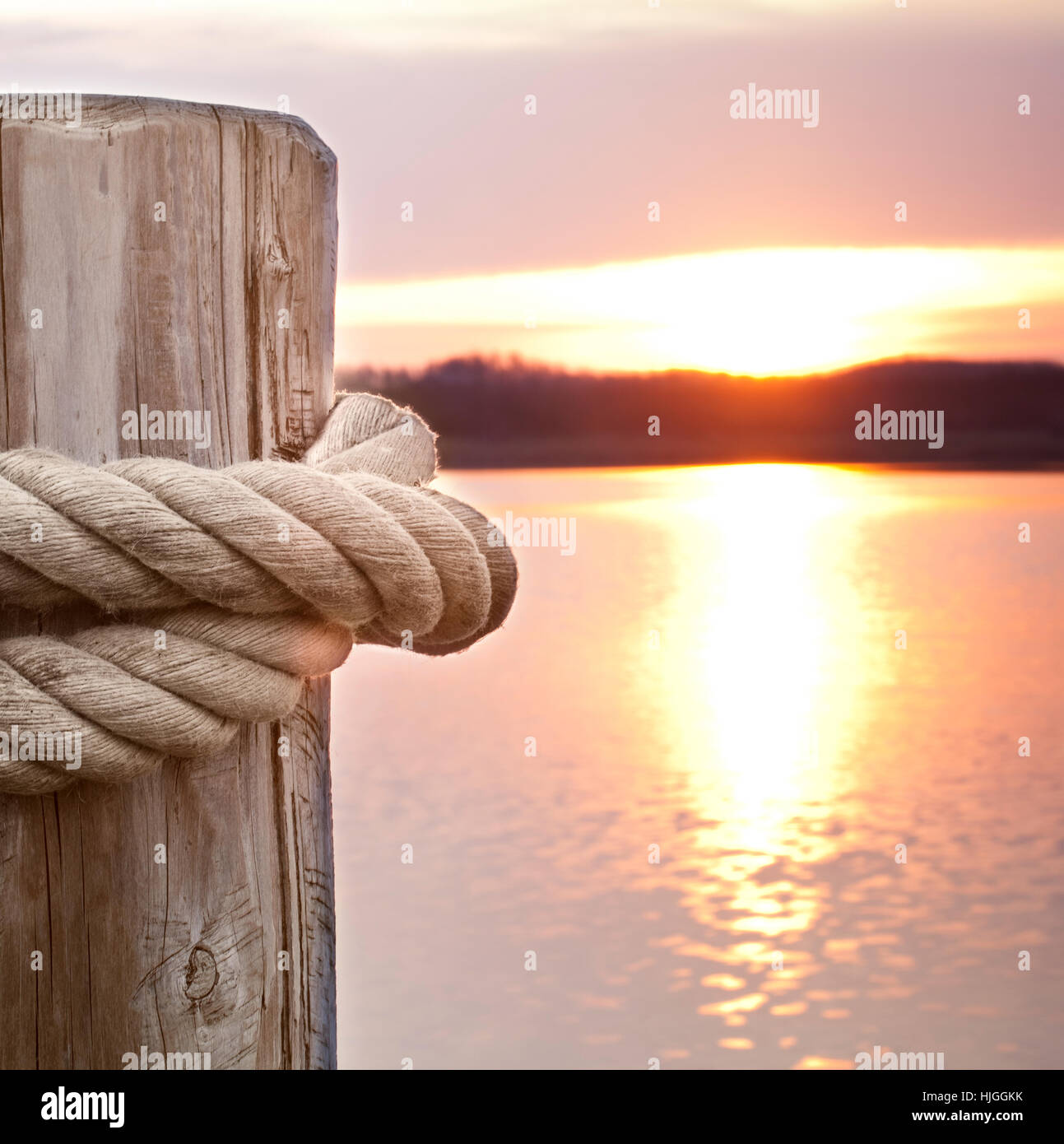 summer, summerly, dew, pole, cord, hold, rope, together, knot, shine, shines Stock Photo Alamy