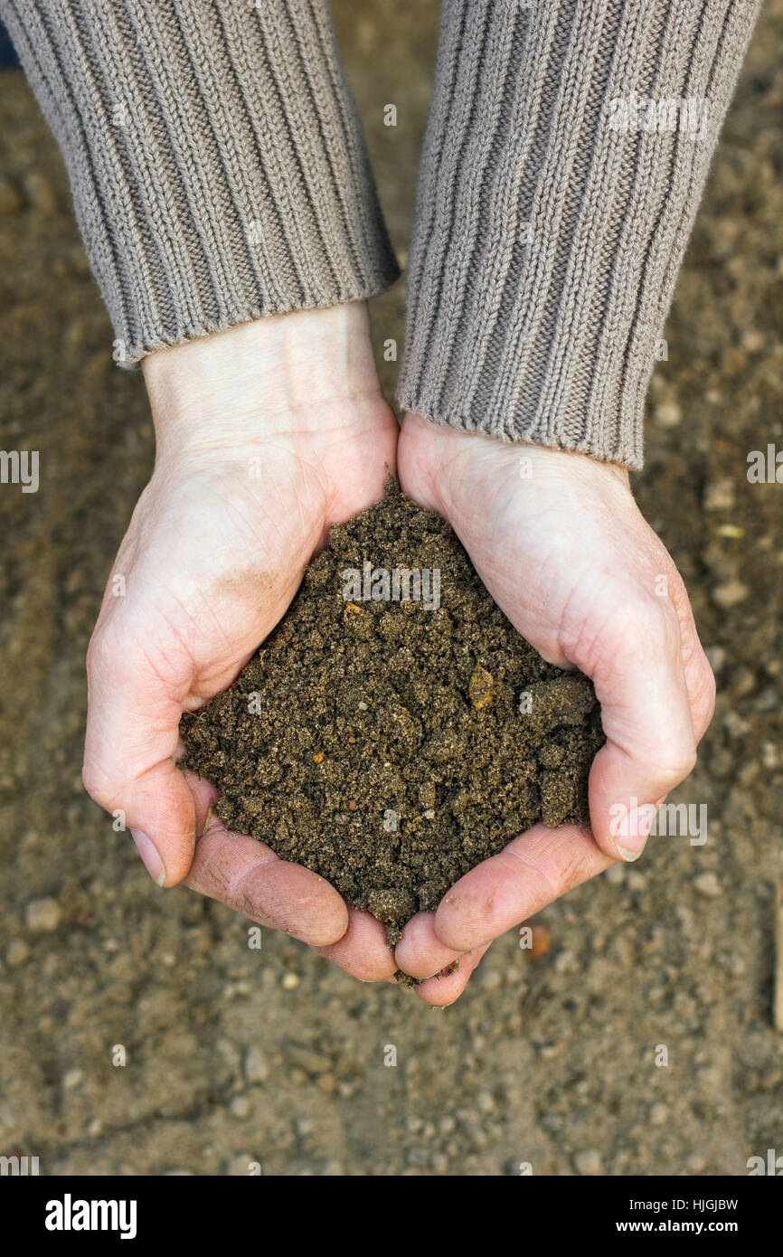 hand, hands, agriculture, farming, spring, gardener, compost, hold, bed ...