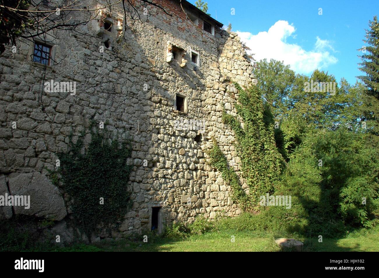 part of the ruins bad kreuzen,upper austria Stock Photo
