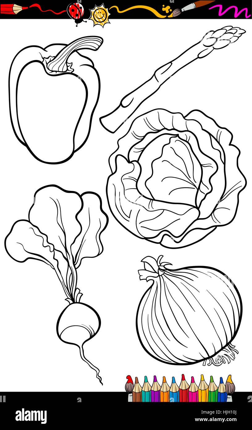 pepper, illustration, asparagus, cabbage, radish, lettuce, vegetables, Stock Photo