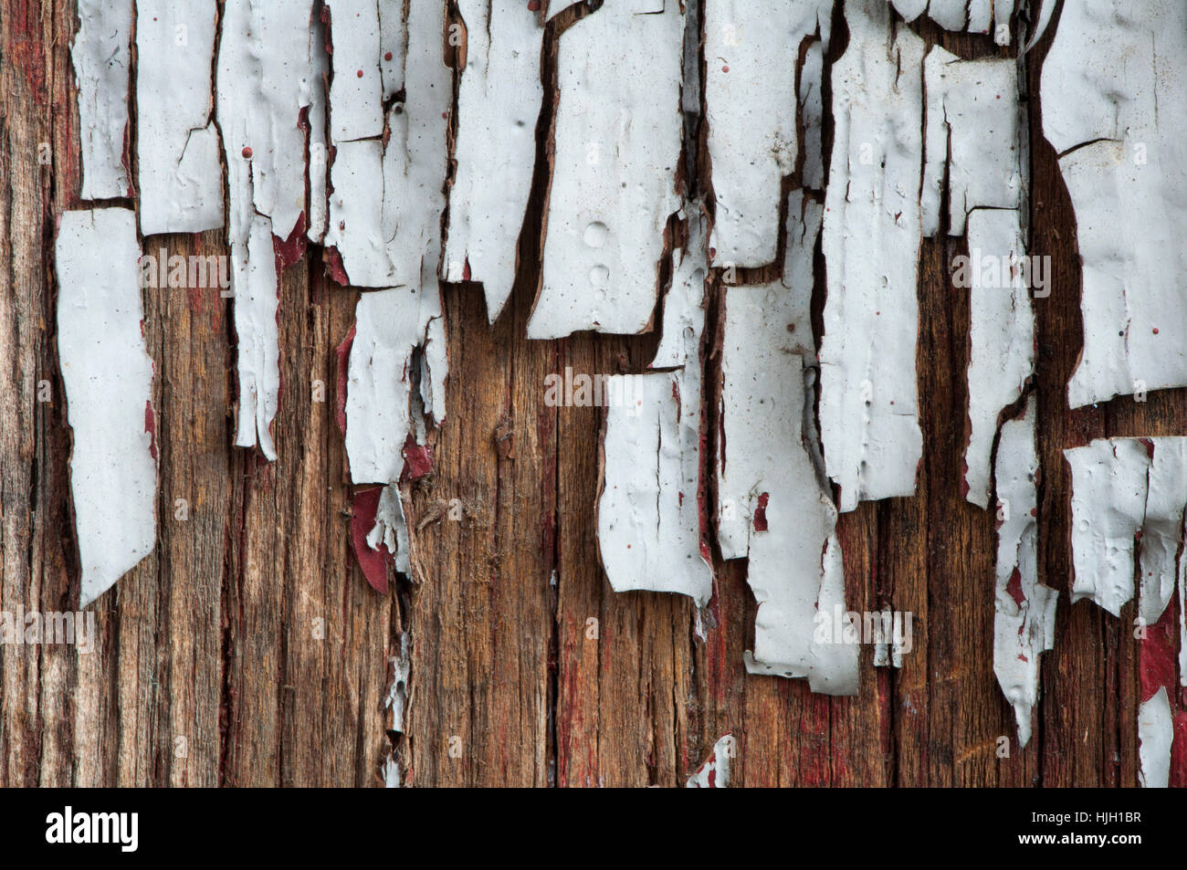 board, detail, colour, wood, rough, vintage, wall, decay, material ...
