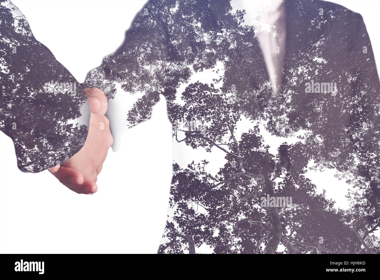 Double exposure of handshake and purple tree tone as nature conservation concept. Stock Photo