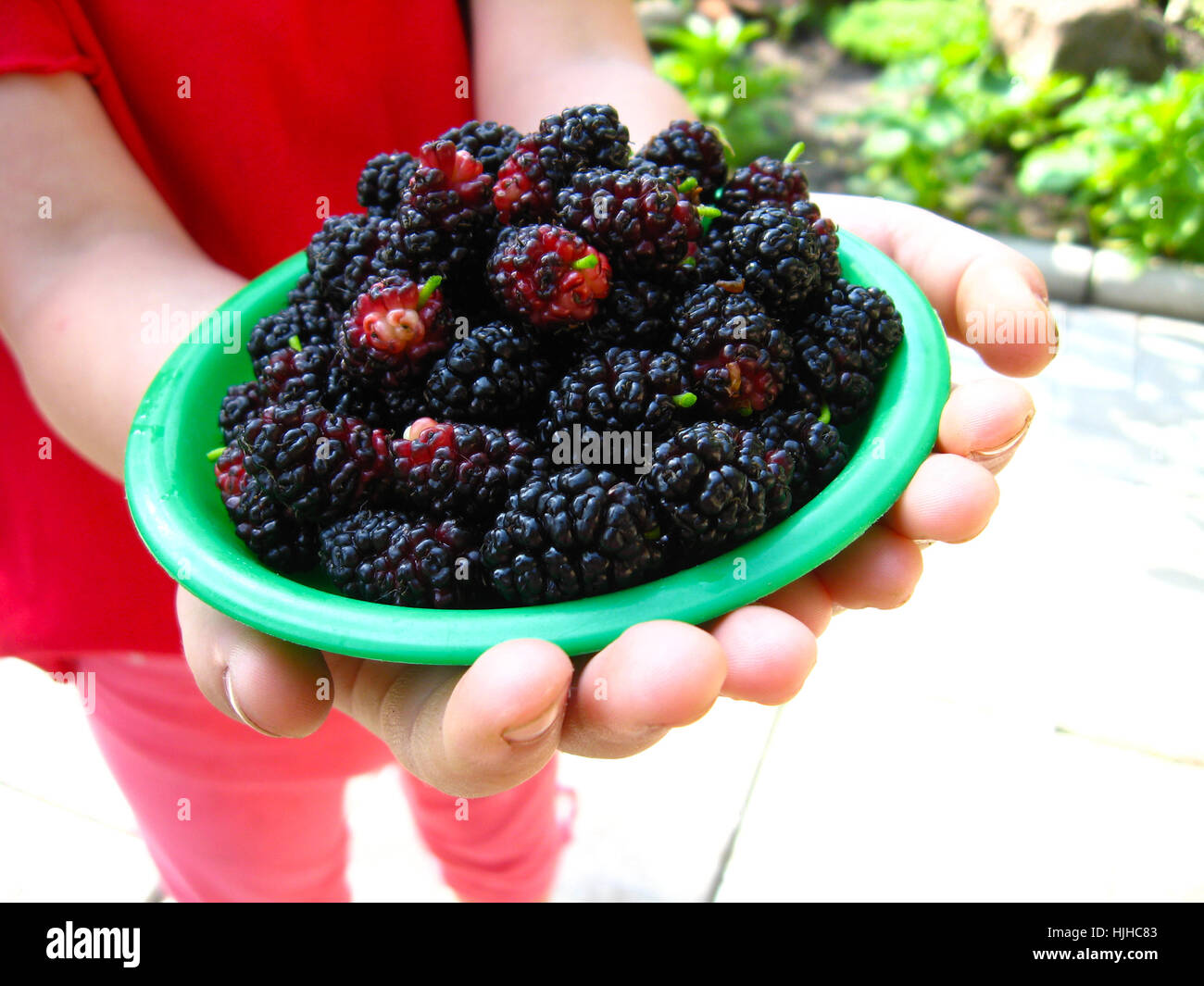 Mulberry garden project hires stock photography and images Alamy