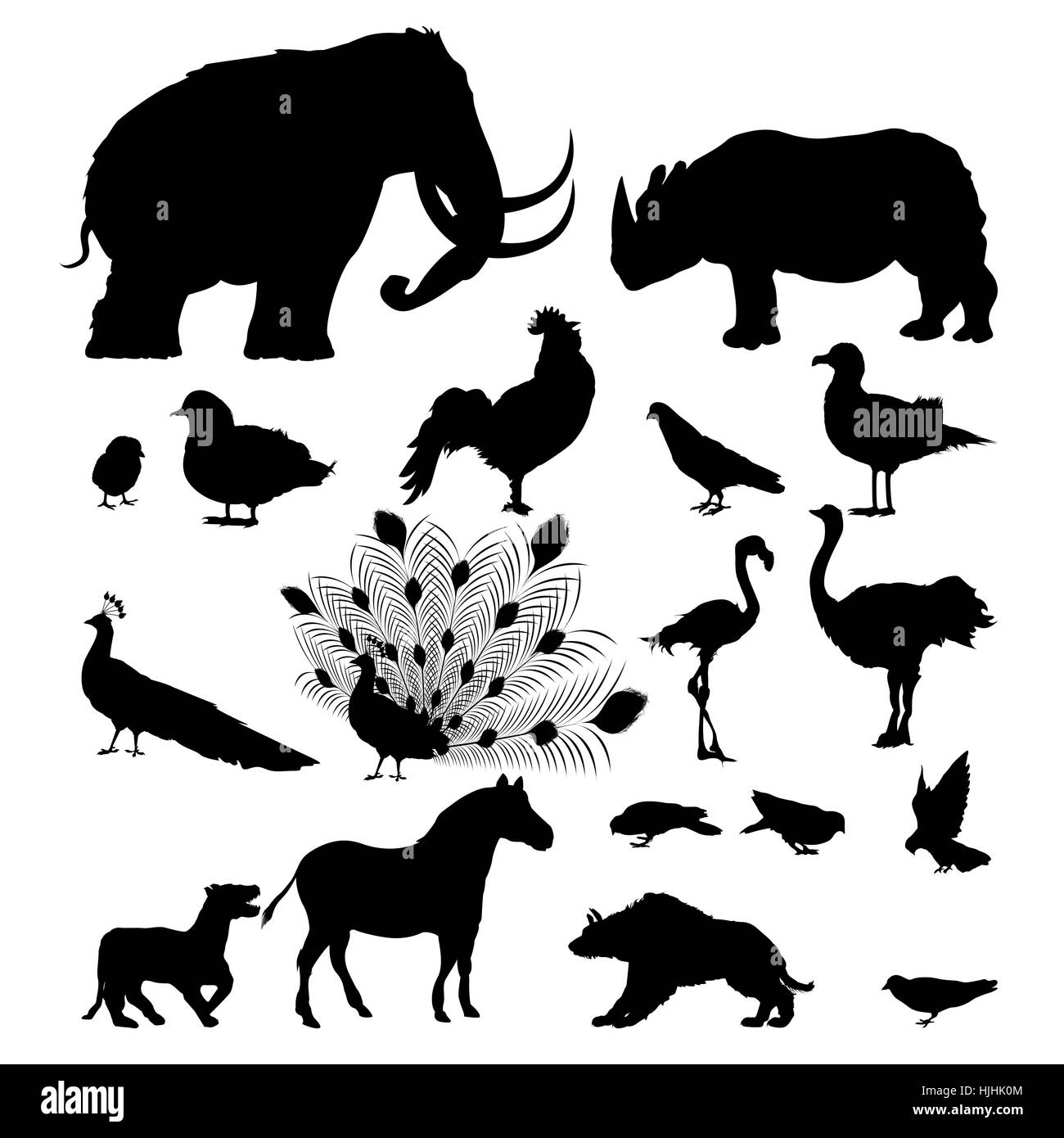Large silhouette set of wild animals and birds over white background Stock Photo