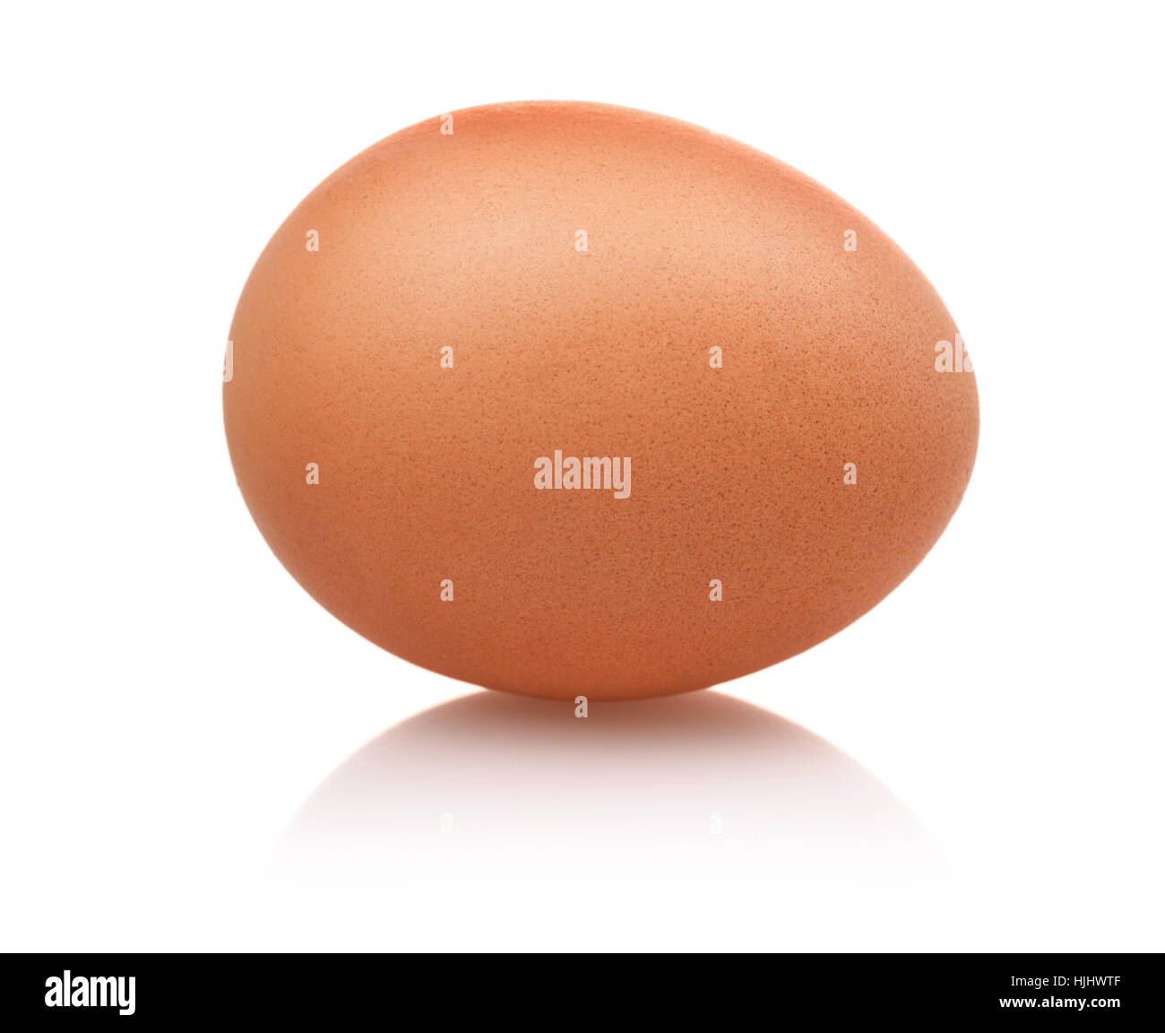 Single brown egg isolated on white Stock Photo