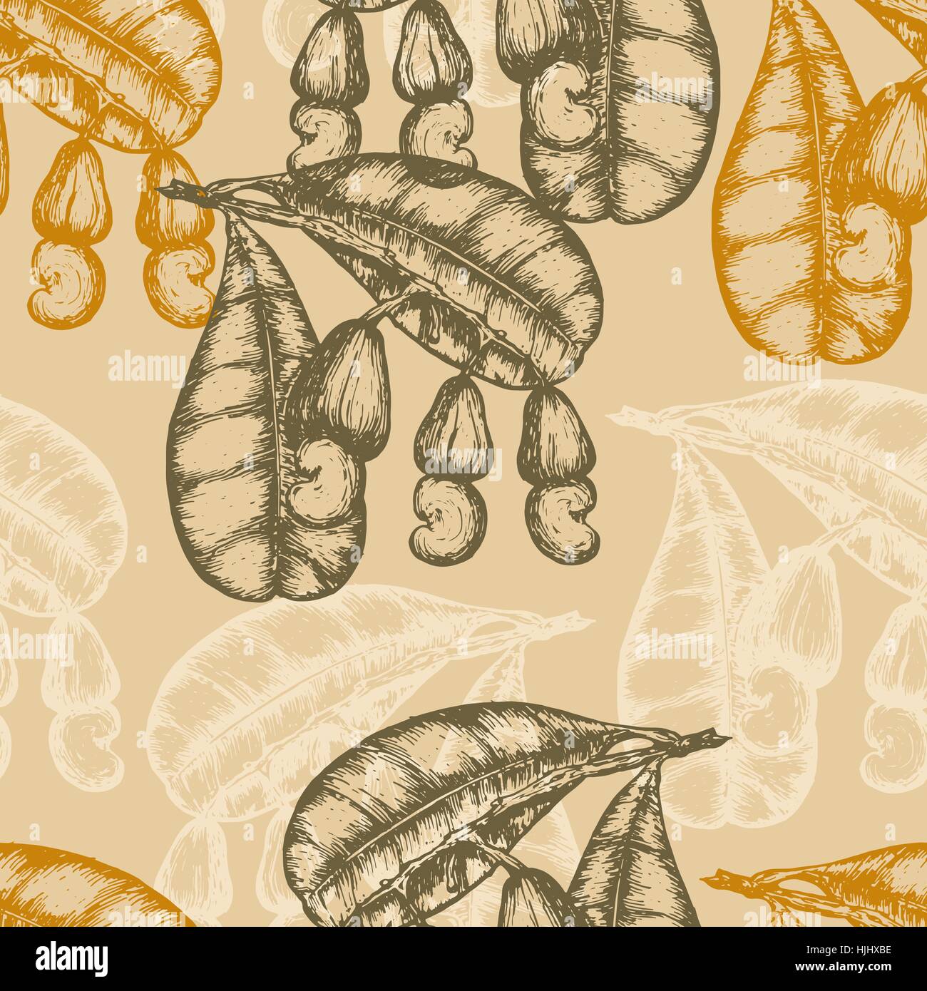 Seamless illustration with branch cashew. Vector illustration Stock ...
