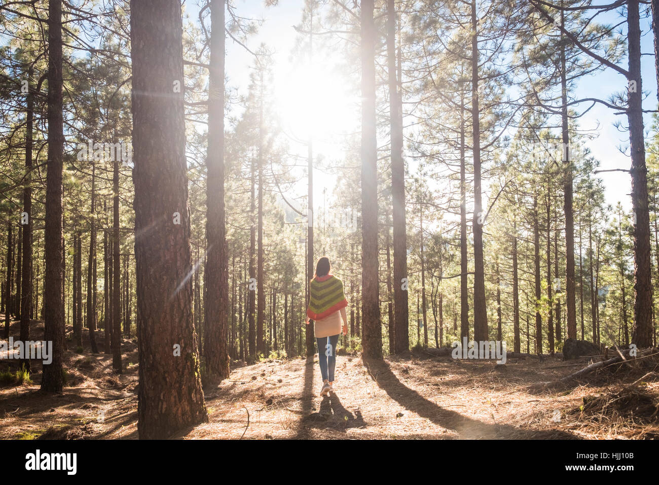 Back view of woman walking in the forest Stock Photo - Alamy
