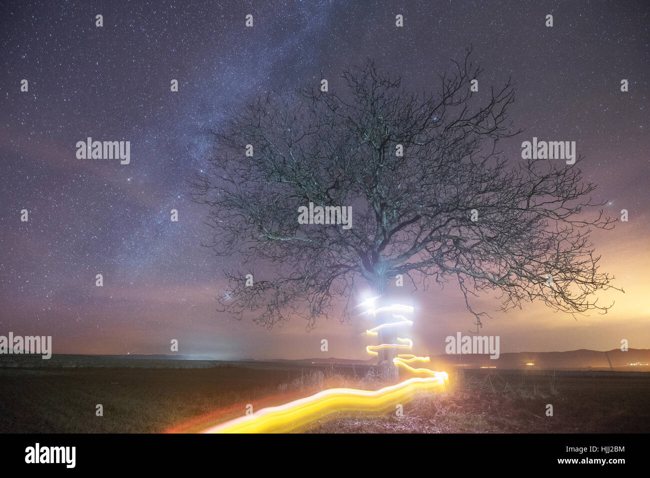Milky way and light painting tree Stock Photo