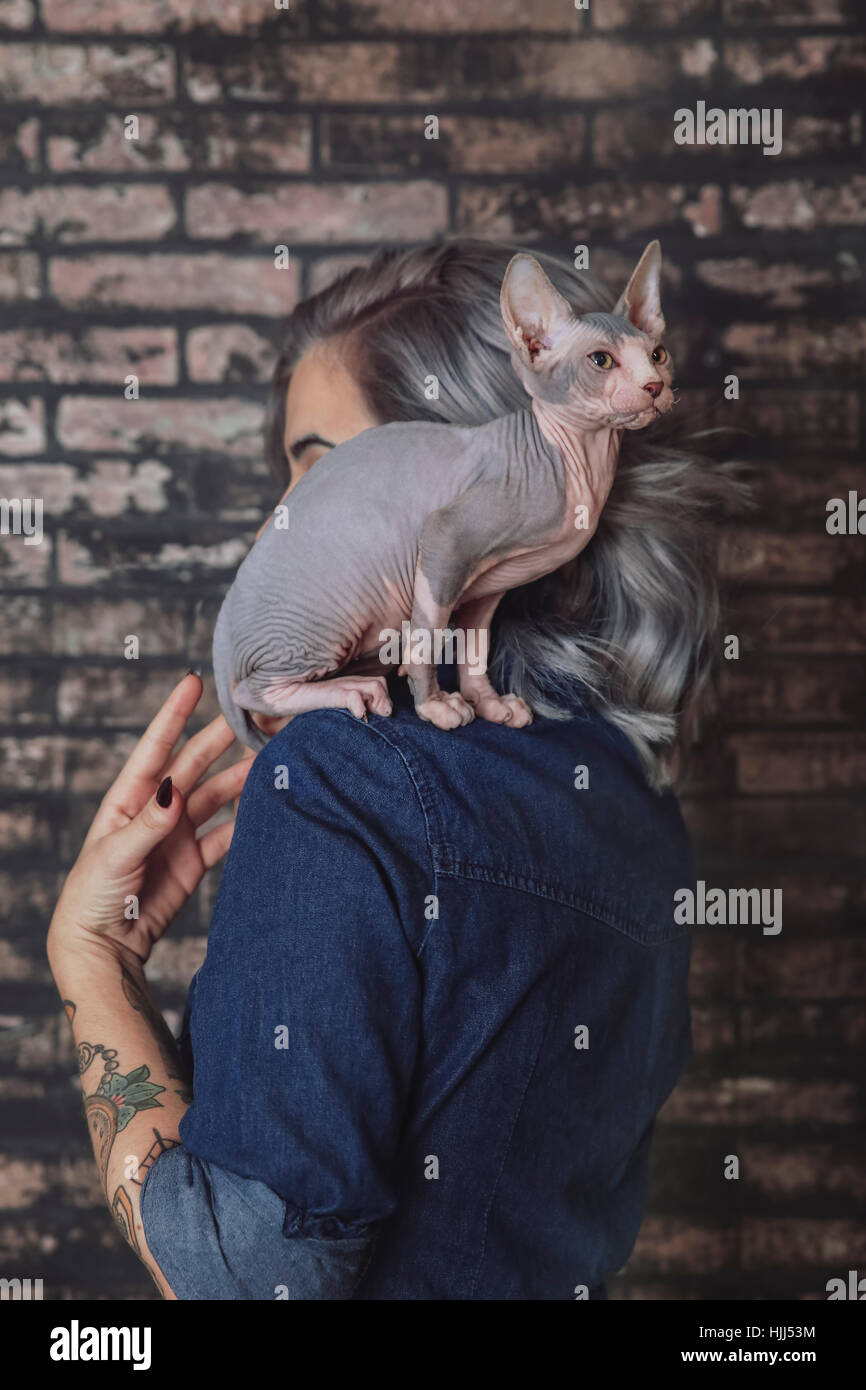 Young woman carrying Sphynx cat on shoulder Stock Photo