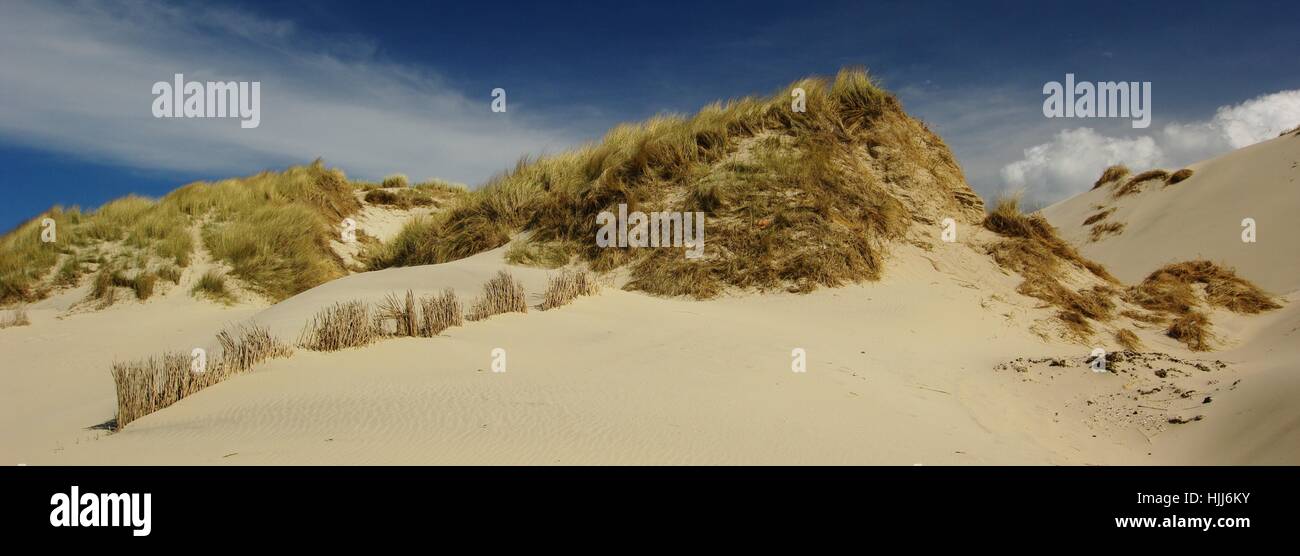 dunes at schoorl,north holland Stock Photo - Alamy