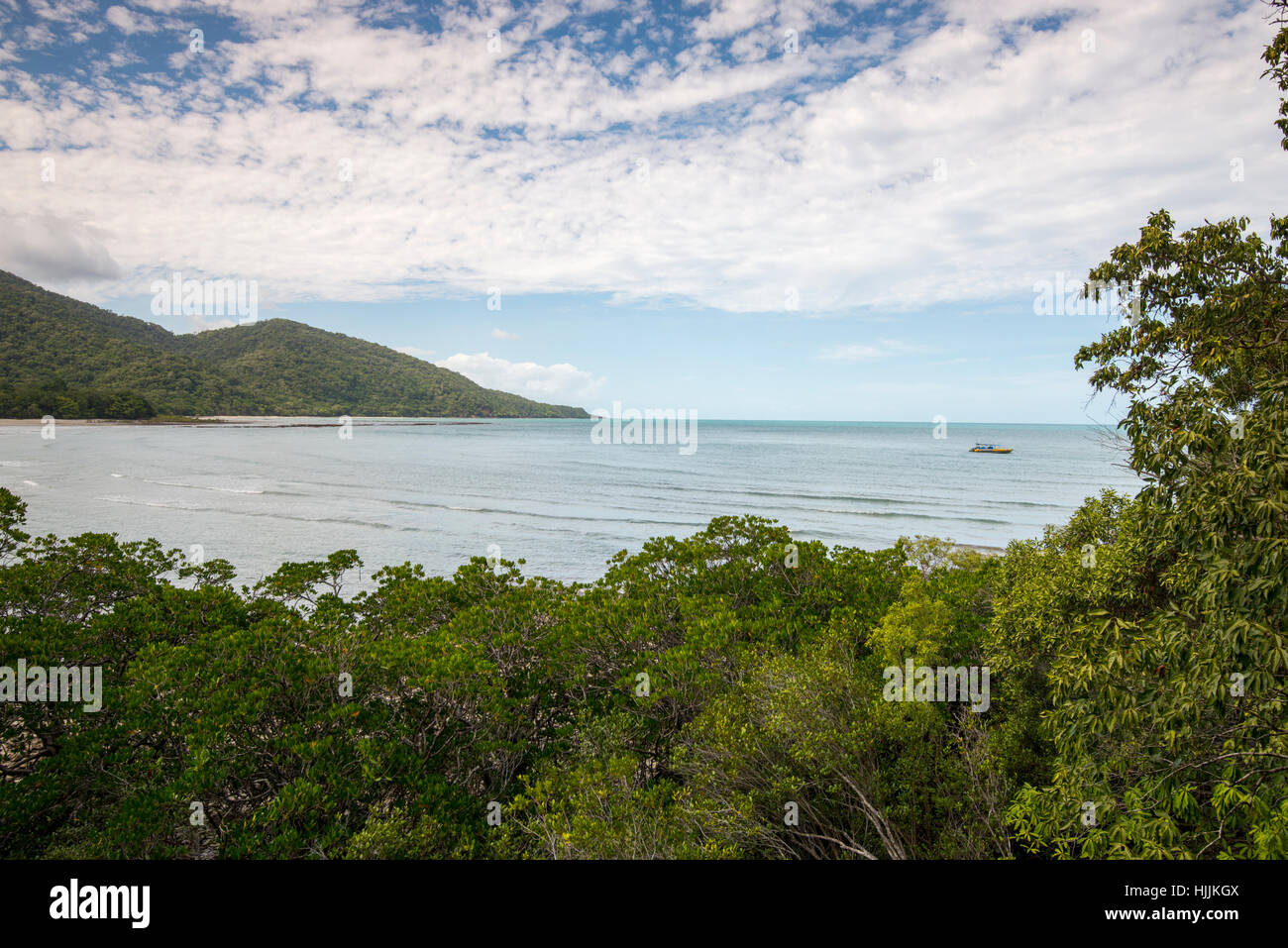 View of the Beach from the Kulki Lookout at Cape Tribulation, Daintree  National Park Queensland Australia Stock Photo - Alamy