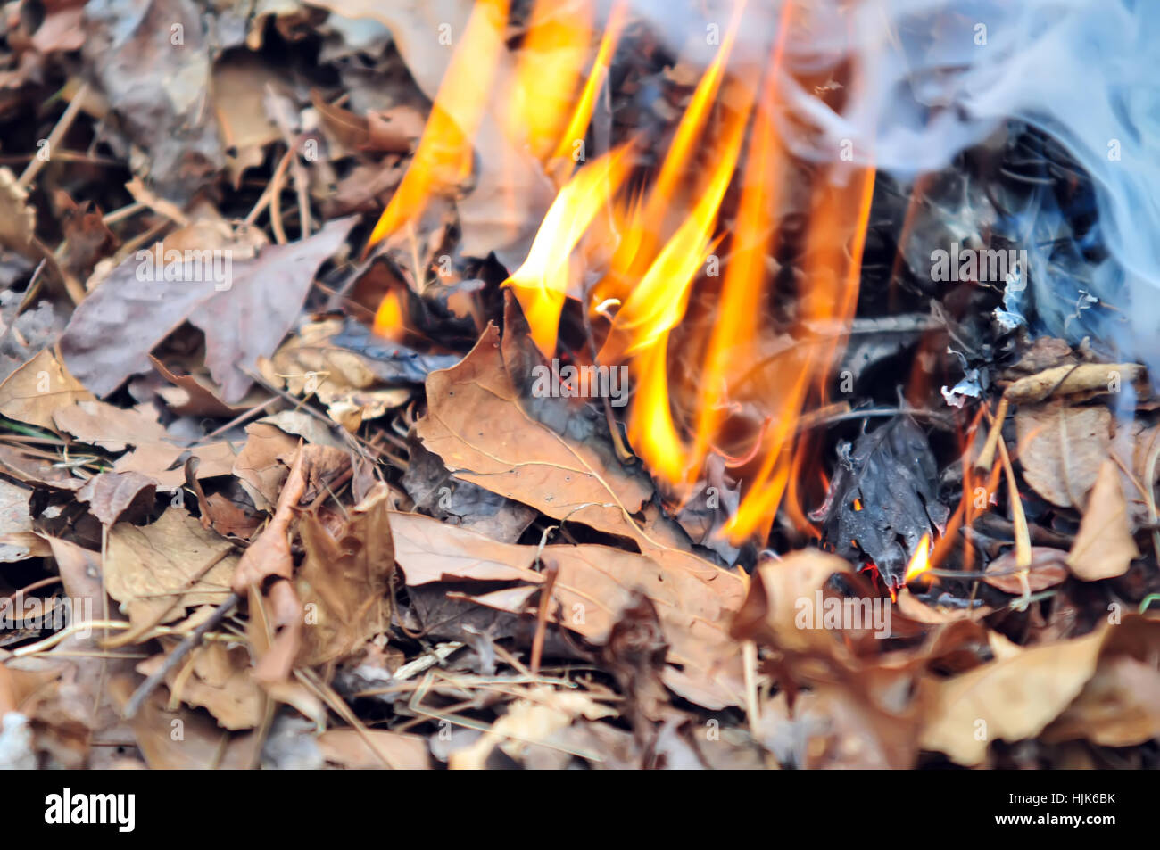 Large pile burning branches hi-res stock photography and images - Alamy