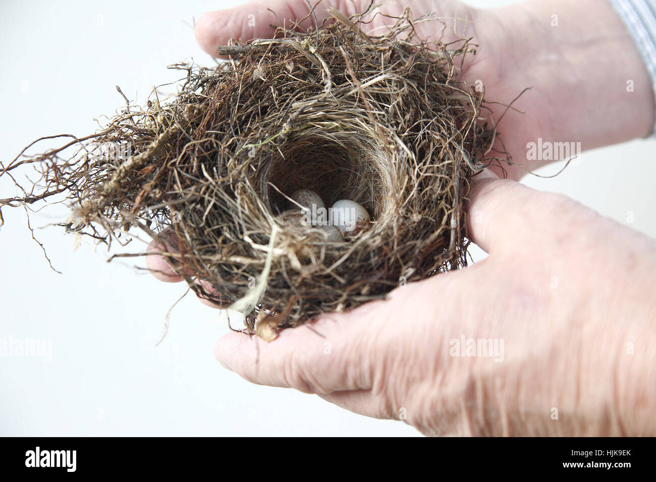 hand, hands, closeup, grasses, horizontal, spring, bouncing, bounces, hop, Stock Photo