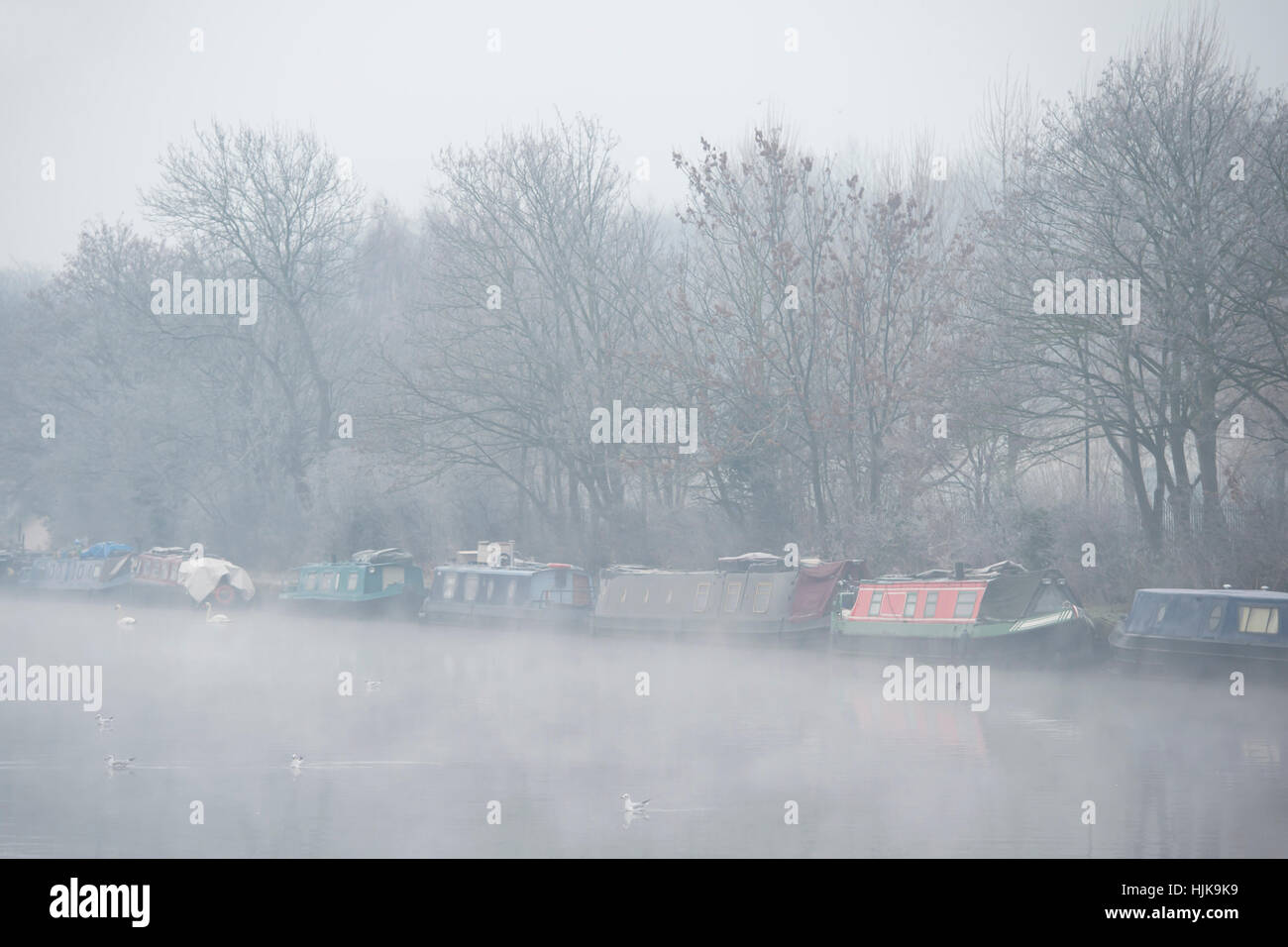 Dawn on the River Lea, in Hackney, London Stock Photo