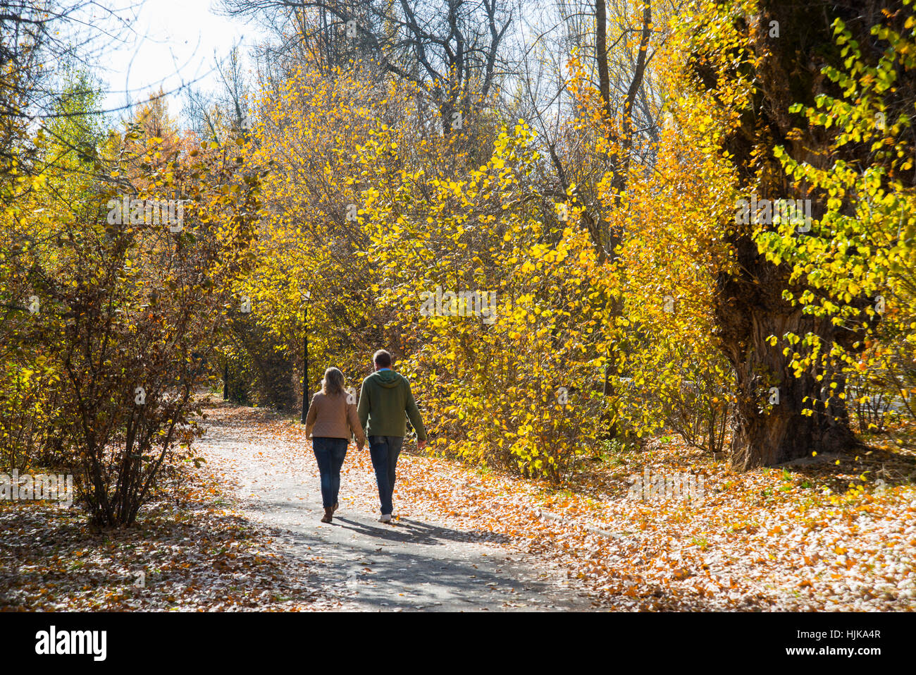 Mature couple walking along a path in the Autumn forest. Sierra de ...