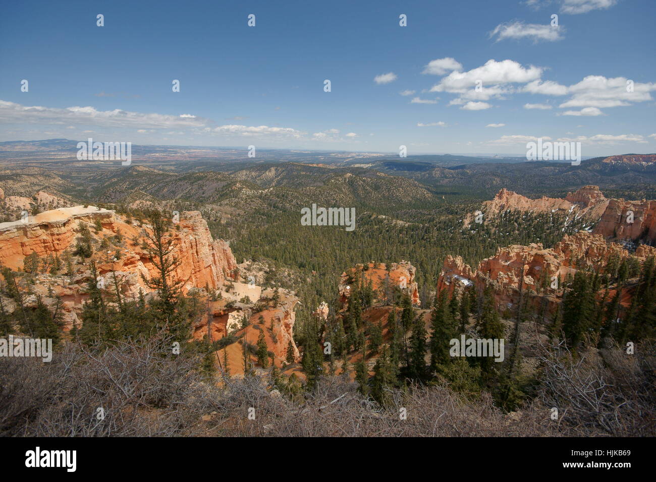 national park, usa, america, amphitheater, amphitheatre, tree, trees ...