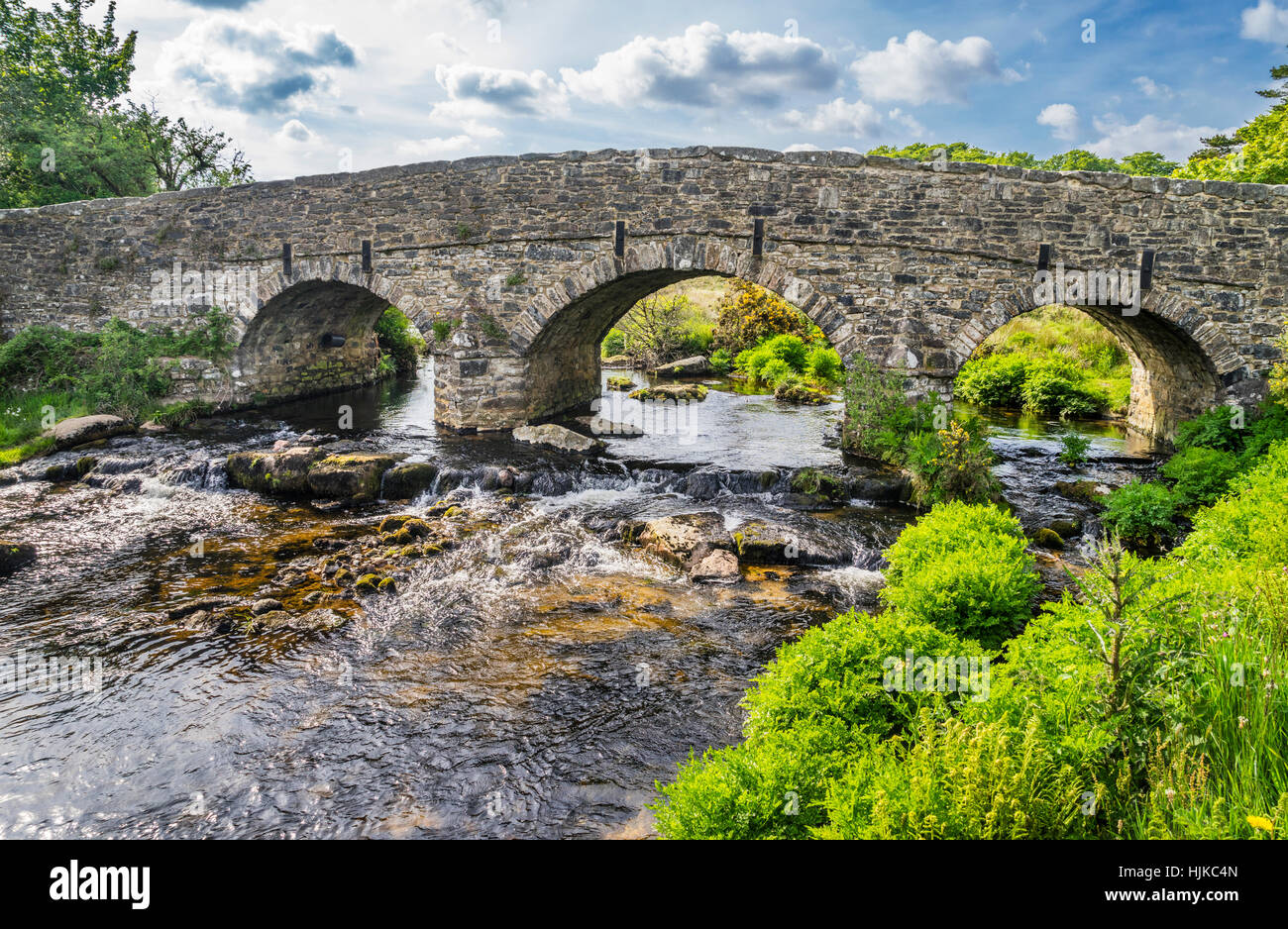 Great Britain, South West England, Devon, Dartmoor National Park, Postbridge, East Dart River Stock Photo