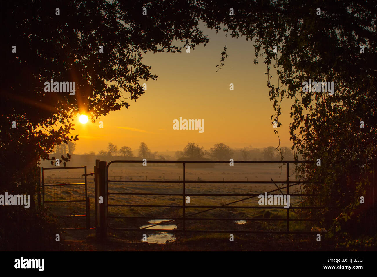 Wiltshire countryside sunrise hi-res stock photography and images - Alamy
