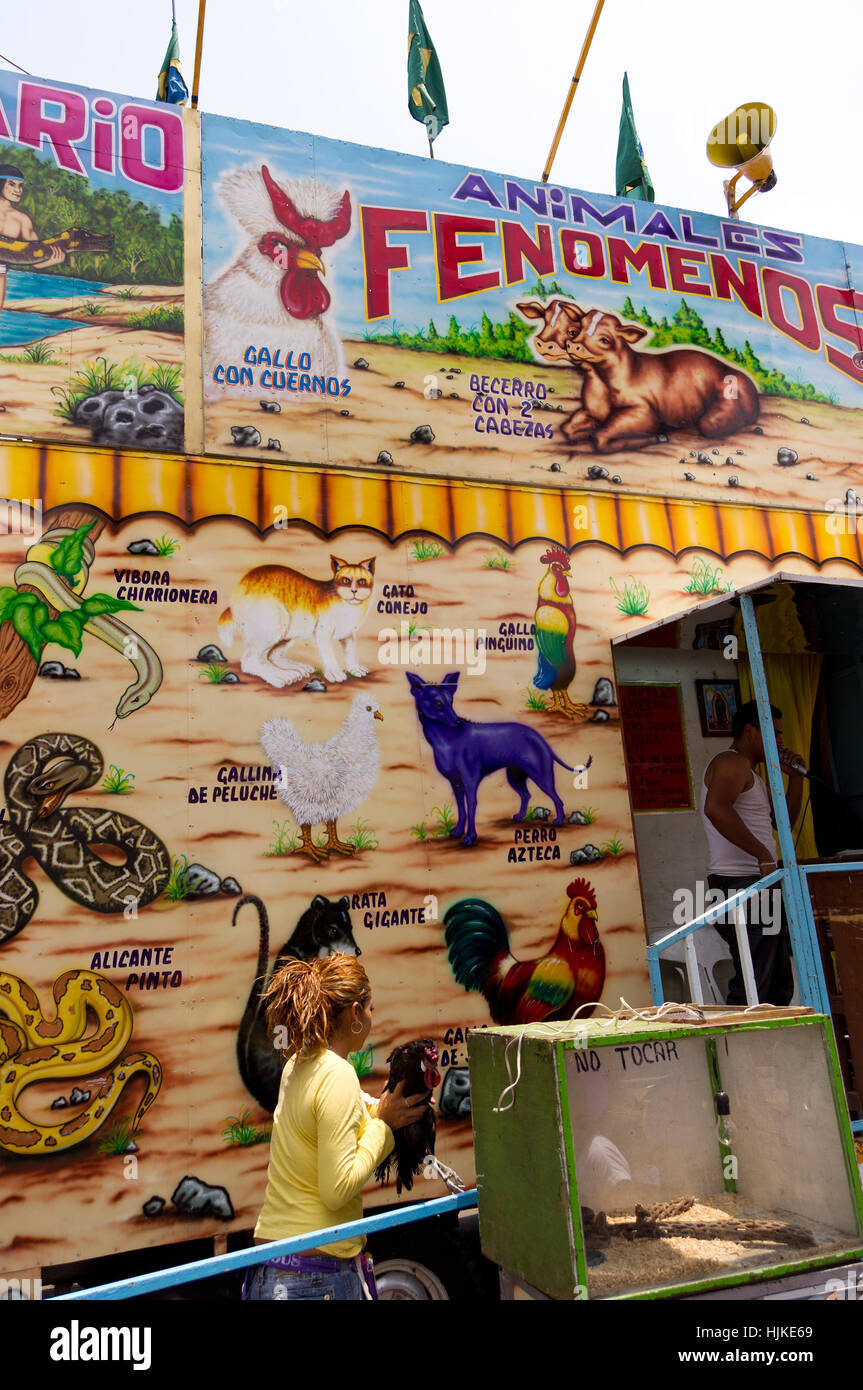 Freak animals stand on a Mexican fair Stock Photo