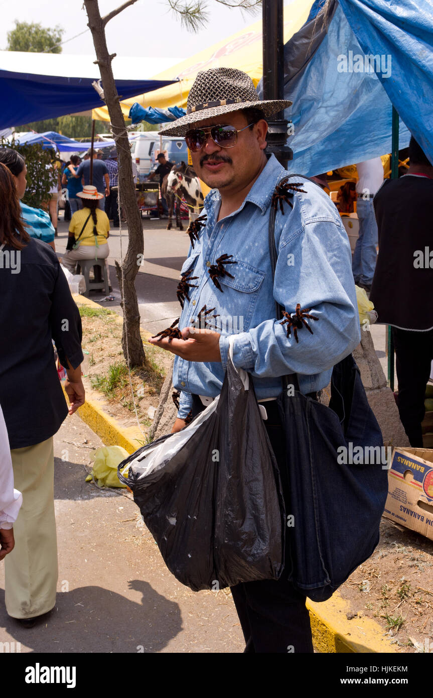 Mexican fake tarantulas seller Stock Photo