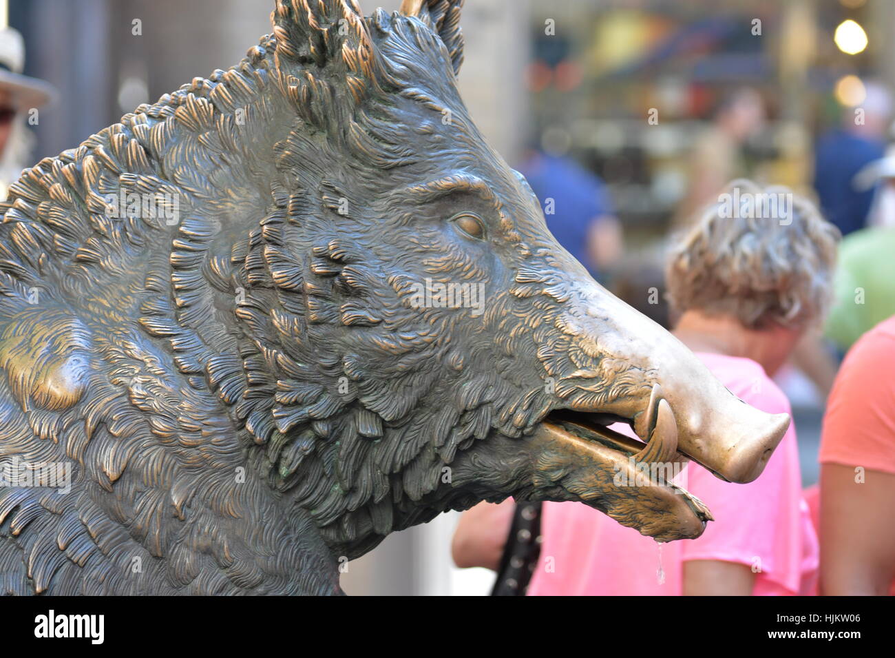 Porcellino the bronze pig sculpture Florence Italy Stock Photo Alamy