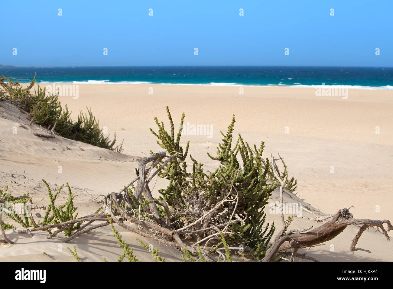 sand beach with blue sky Stock Photo - Alamy