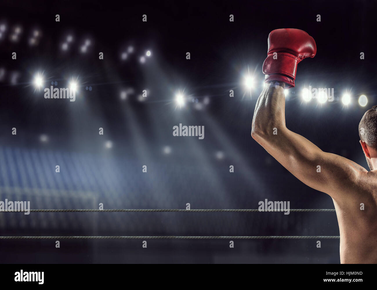 Professional box champion mixed media hi-res stock photography and ...