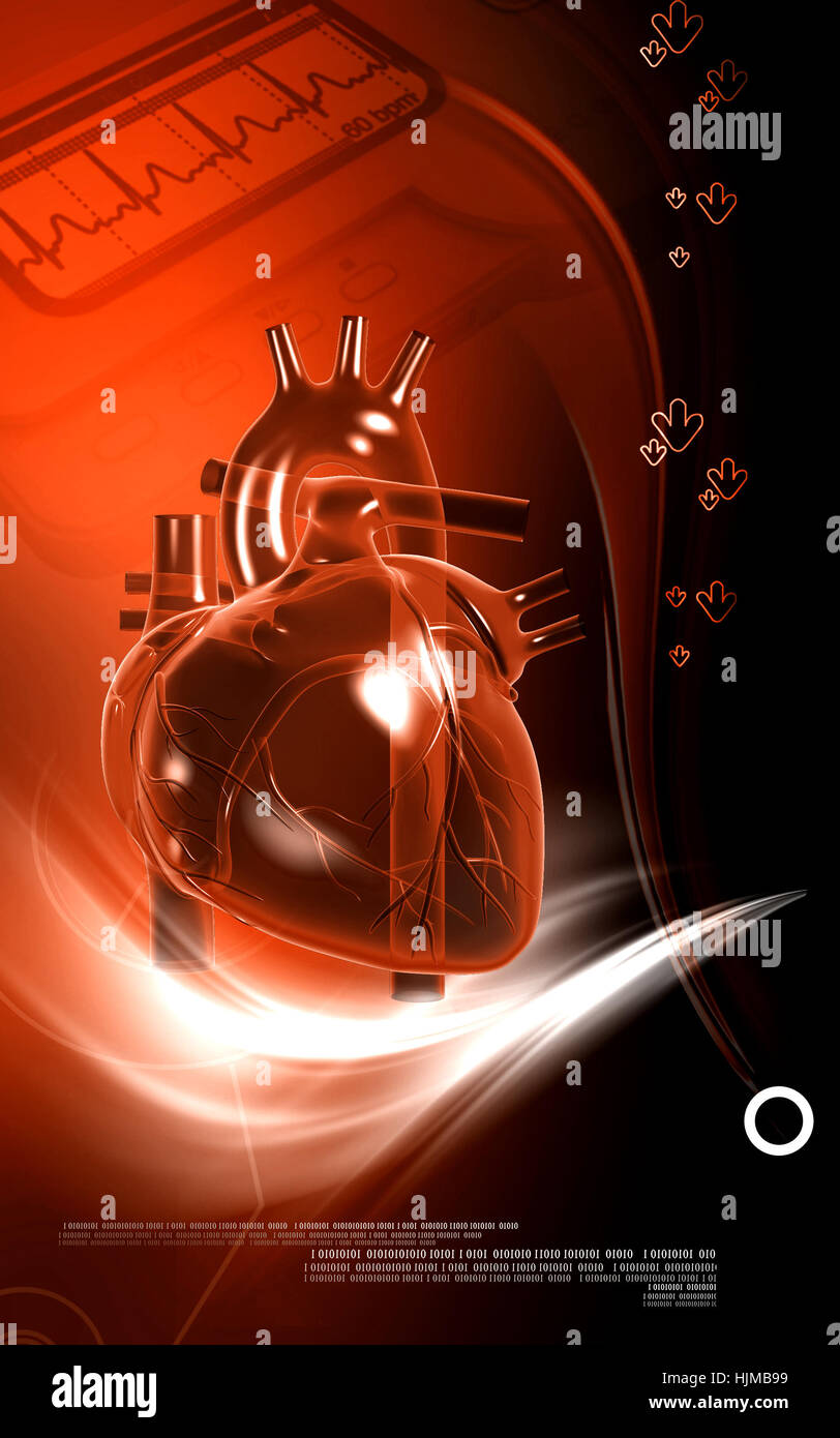 Circulation Graphics education, health, medicinally, medical, circulation, graphics, colour ...