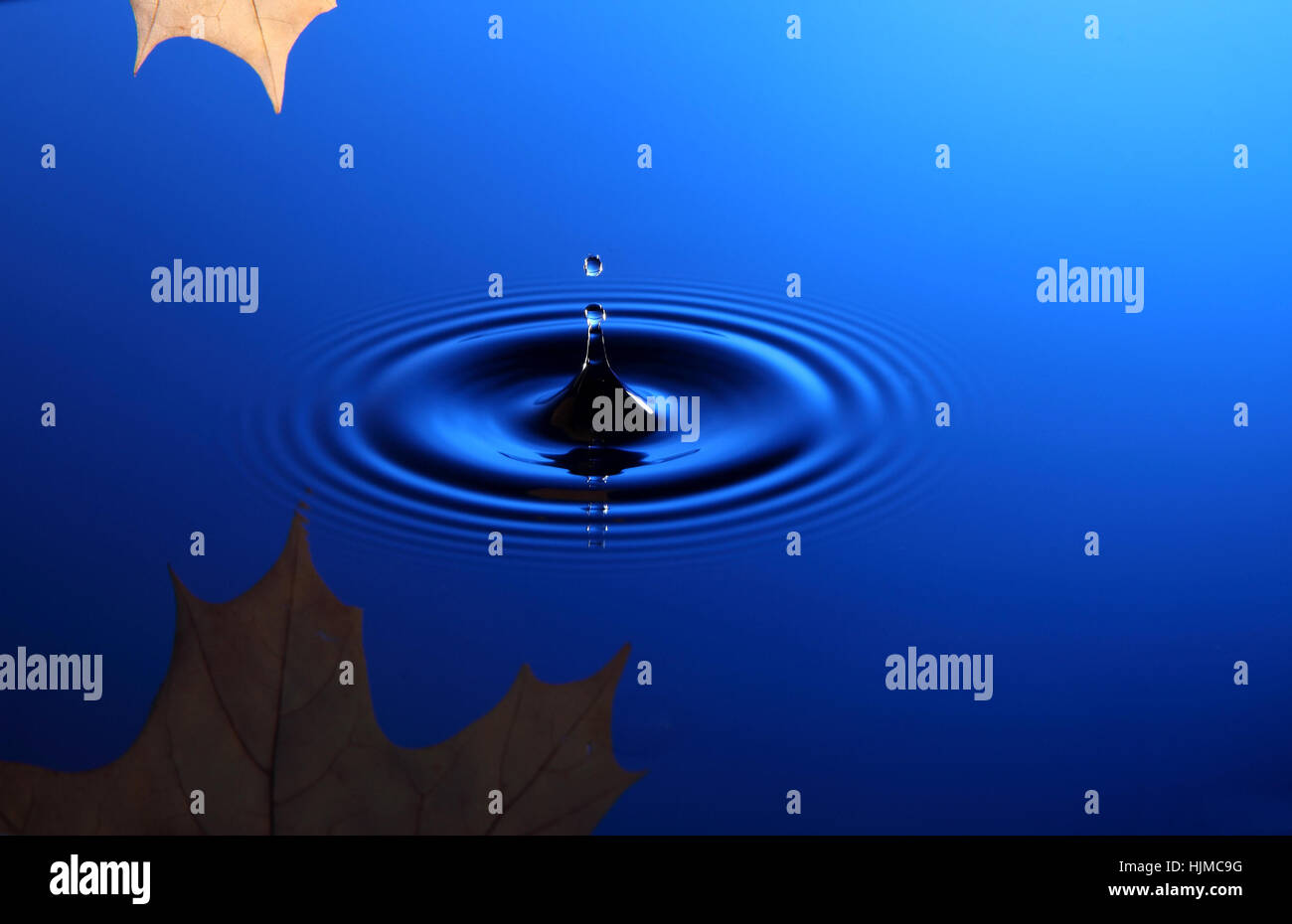 Drop of water falling into the water and leaving it circles Stock Photo ...