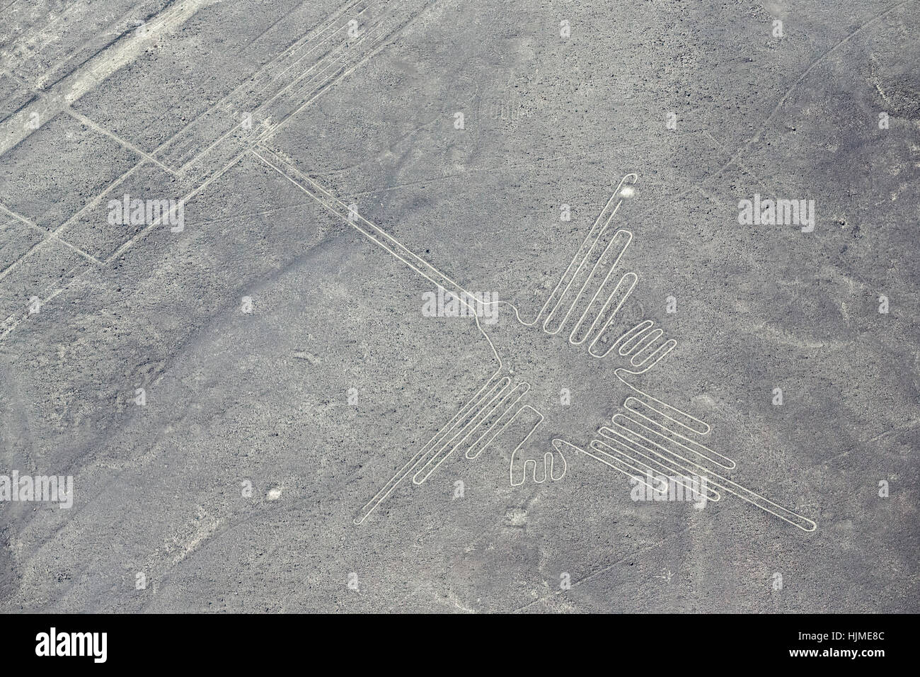 Peru, Nazca, Aerial view of geoglyphs of Nazca, The Hummingbird Stock Photo