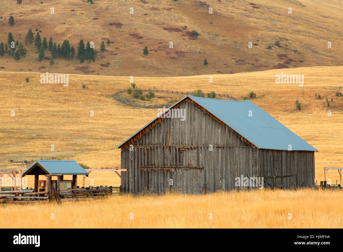 Oregon Prairie Zumwalt prairie nature conservancy wallowa county hi-res stock ...