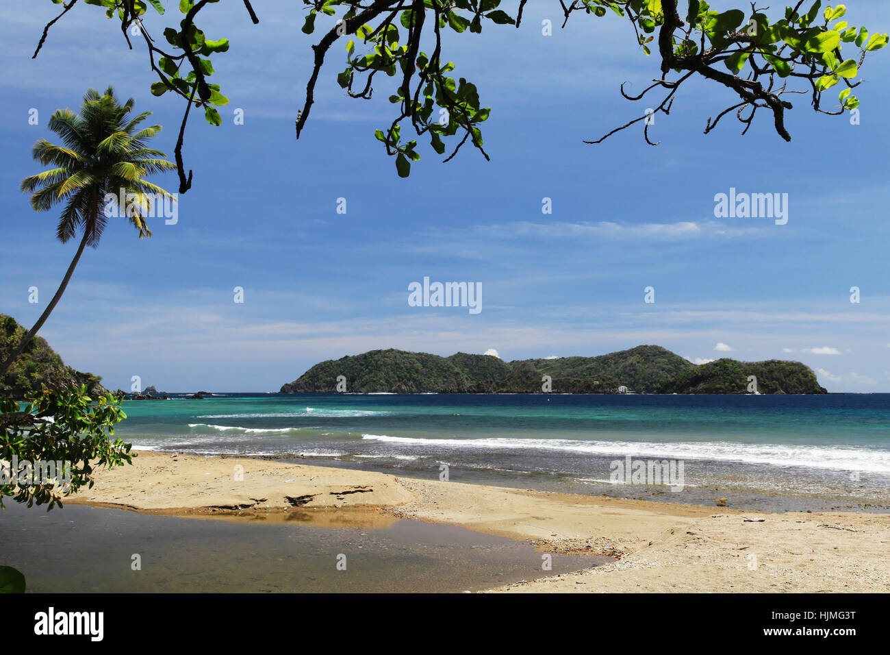 palm tree, salt water, sea, ocean, water, isle, island, palm tree