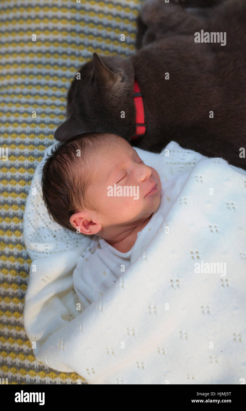 Lovely girl sleeping on hi-res stock photography and images - Alamy