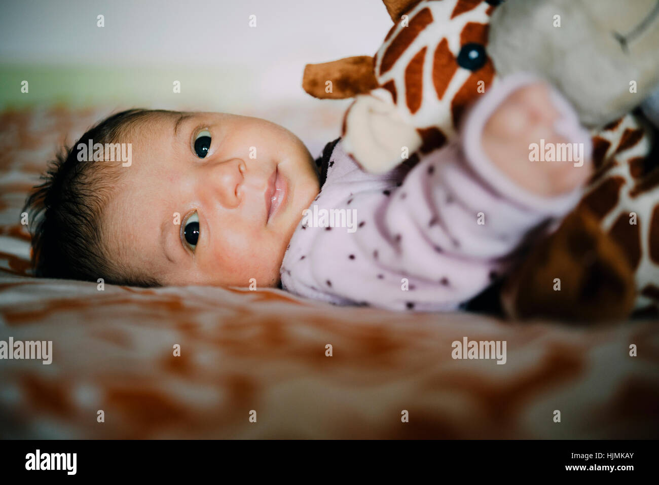 Happy newborn baby girl with a plush giraffe Stock Photo
