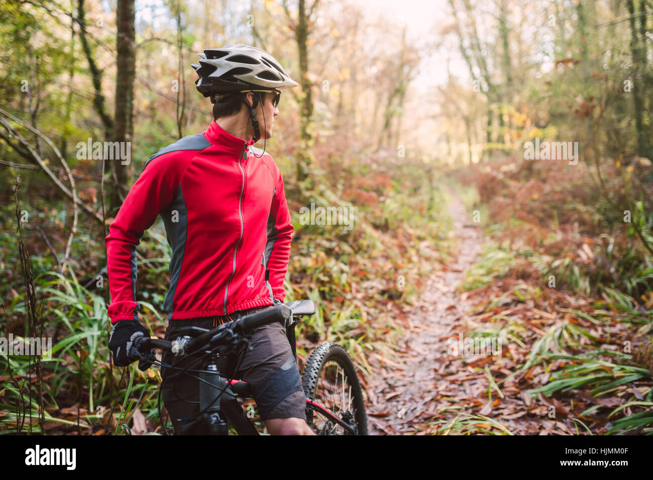 Young man mountain biking in forest Stock Photo