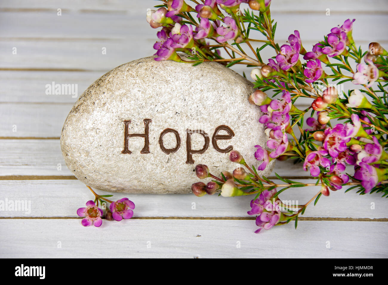 word hope carved in stone with pink flowers on whitewashed wood Stock Photo