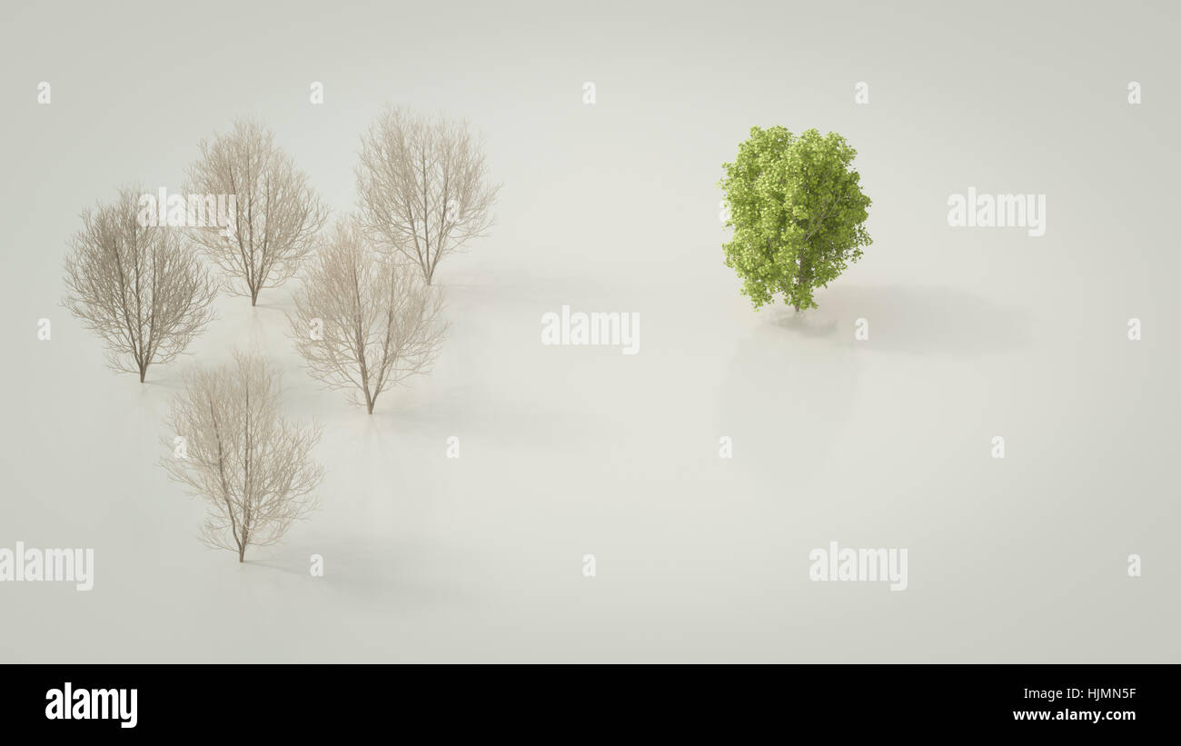 Green Maple Tree Rendering 3D rendering, Bare maple trees opposing green tree Stock Photo - Alamy