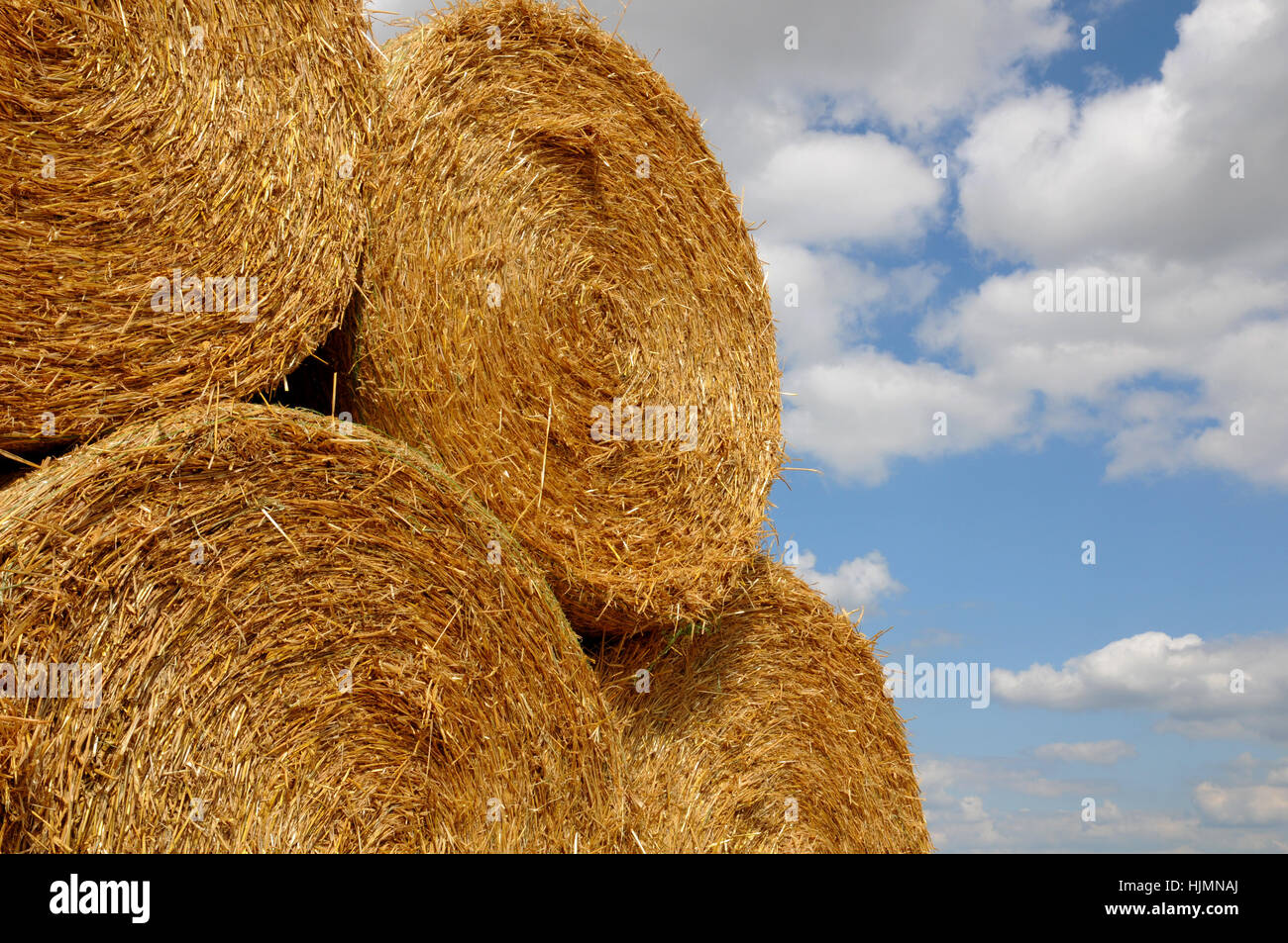 field, straw ball, field work, agriculture, farming, field, summer, summerly, Stock Photo