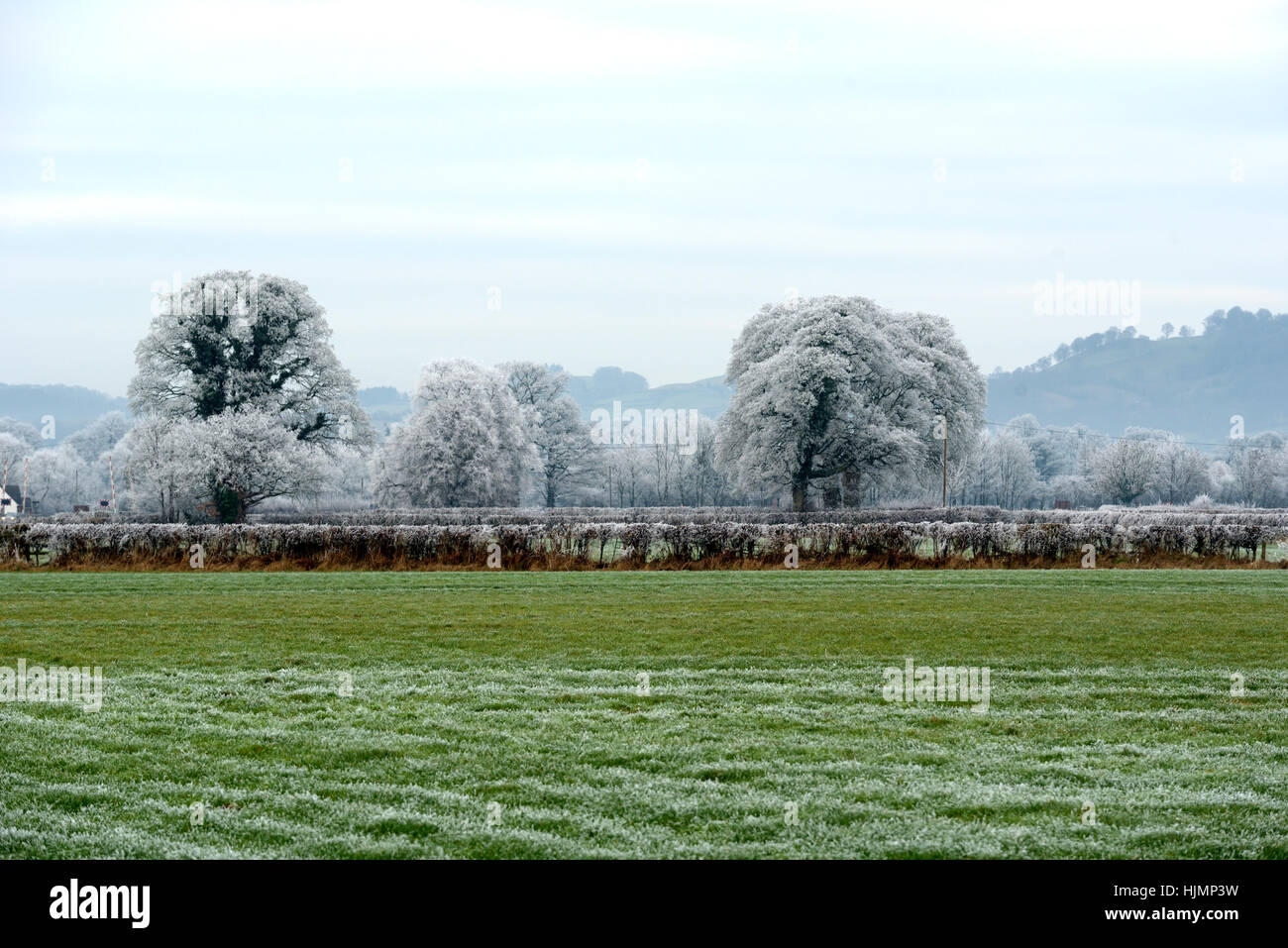 Hoar Frost in the Severn Valley Stock Photo