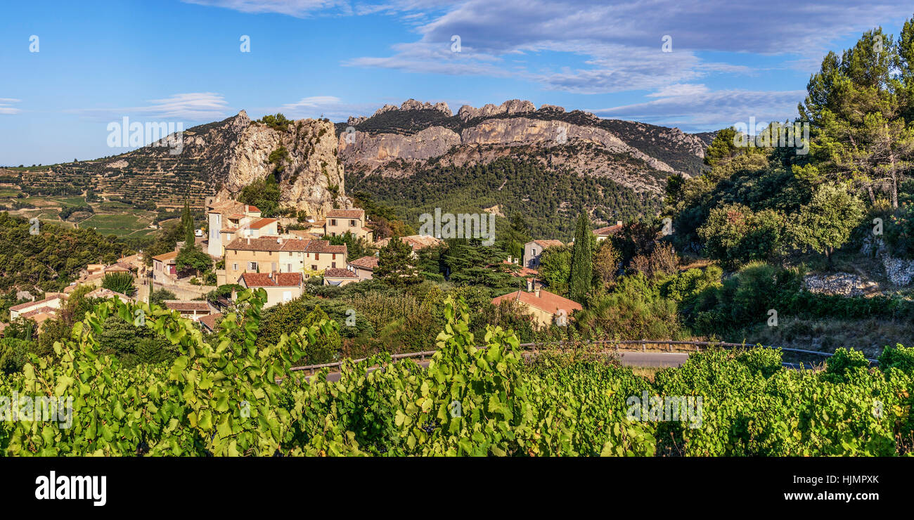 Viniculture, La Roque Alric, Montmirail Lace, Vaucluse, France, Europe Stock Photo